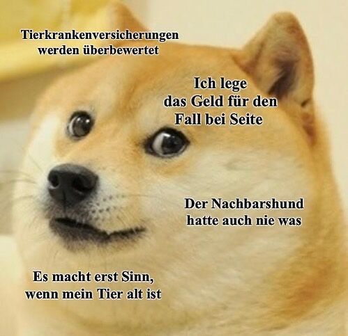 Letztendlich hat jeder die🫠Qual🫠der Wahl🙄

Gründe FÜR eine 🐶Tierkrankenversicherung🐱: 

✅Finanzielle Sicherheit bei Tierarztkosten, vor allem wenn es schnell mal mehrere💶werden😮‍💨
✅Bessere 💫Gesundheitsversorgung💫 für das Tier, da man 📊statistisch📊 gesehen mit einer Versicherung häufiger den 👩🏽‍⚕️Tierarzt aufsucht
✅Beruhigung💆🏻für den Tierbesitzer, da kommen kann was will🛡️ 

#tierkrankenversicherung #haustierversicherung #tierliebe #jüchen
#hansemerkur #tiergesundheit #tierarztversicherung
#hansemerkurrheinland #katzenfreunde #haustiergesundheit
tierkrankenversicherungsschutz #hundeliebe
#hansemerkuronline